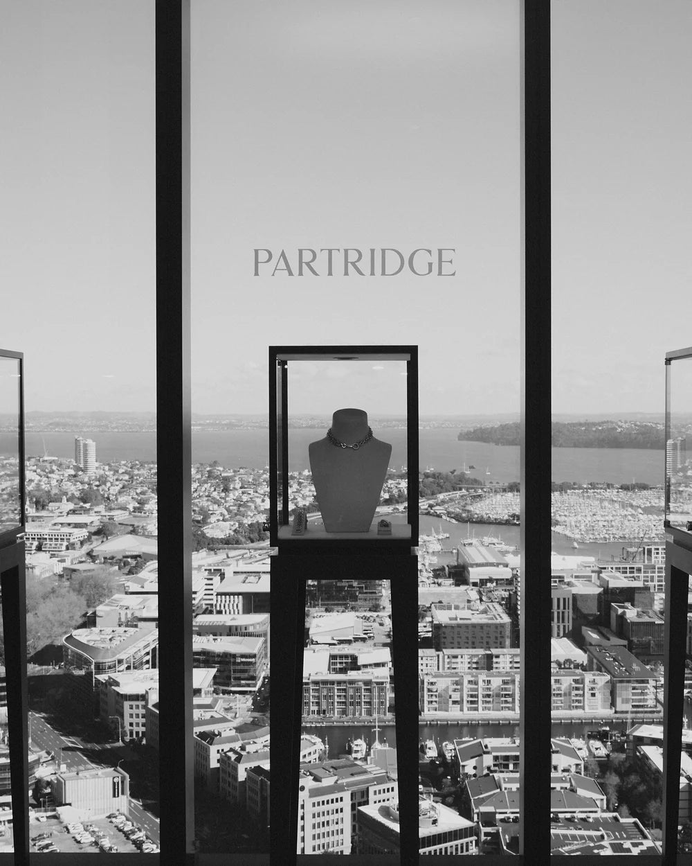Display Image
